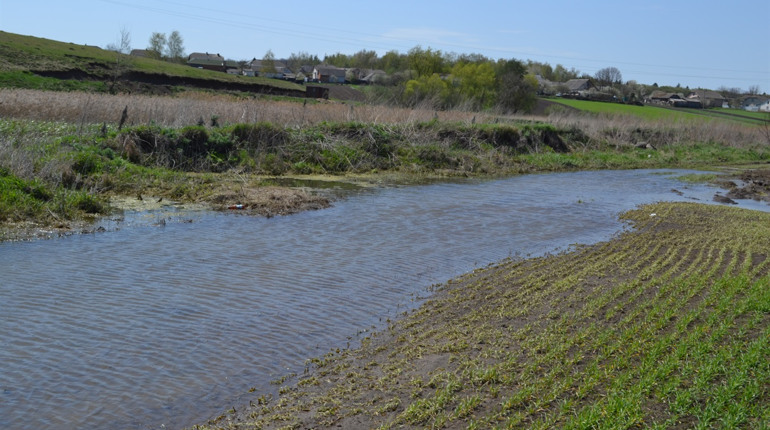 У Шманьківчиках ставкова вода затопила людські городи
