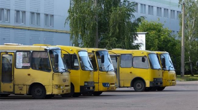 На маршрутки та перевізників, що працюють на Рівненщині, чекають рейдові перевірки