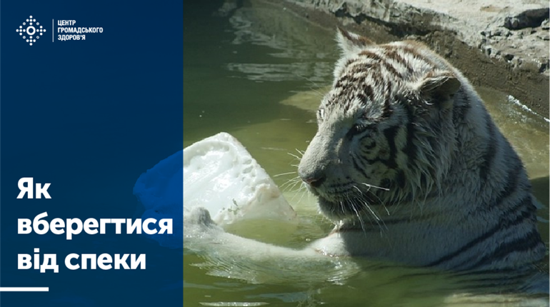 Як вберегтися від екстремальної спеки – поради Центру громадського здоров'я