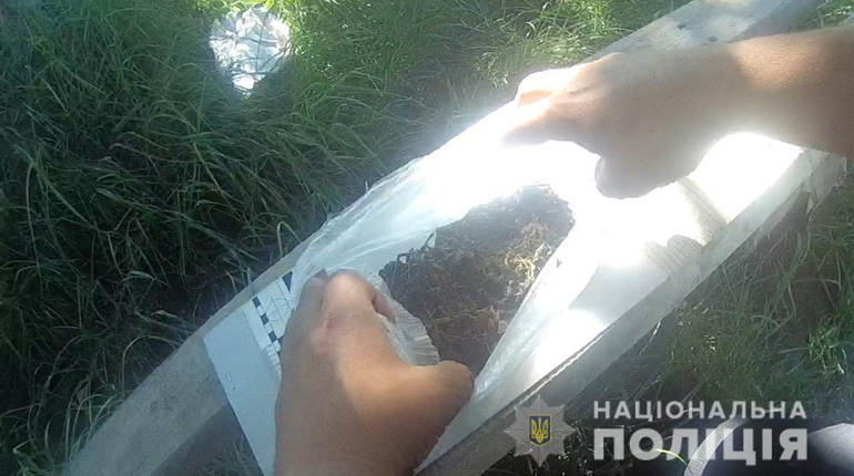 У Шипинцях поліцейські знайшли у неповнолітнього "траву"