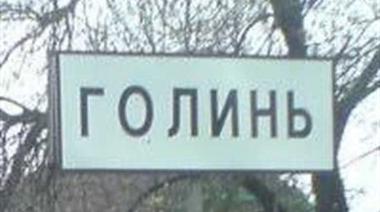 Голинь: у Прощука 37,08% голосів, "Слуги народу" — 42,46%, "Голосу"—13,69% , "Батьківщини" — 12,08%