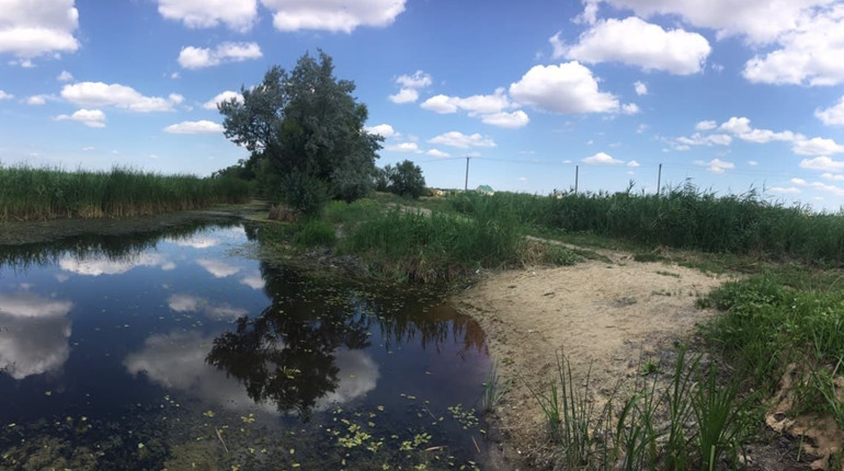 Біляївська міськрада звернеться до РДА з проханням визначити місця для відпочинку на Зеленому хуторі