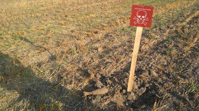 У селі Домашлин на Корюківщині на футбольному полі знайшли міну і снаряд