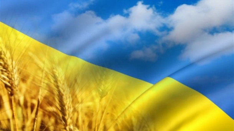 Фестиваль, покладання квітів, концерт, турнір: що чекає сірогозців на День Незалежності України 