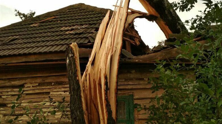Буревій на Корюківщині. Повалені стовпи, дерева, зірвані дахи. Оновлено