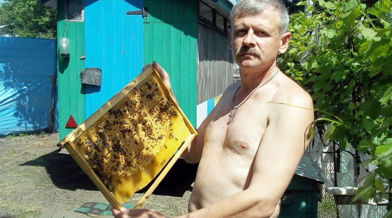 Як обрати якісний мед? Поради менського пасічника