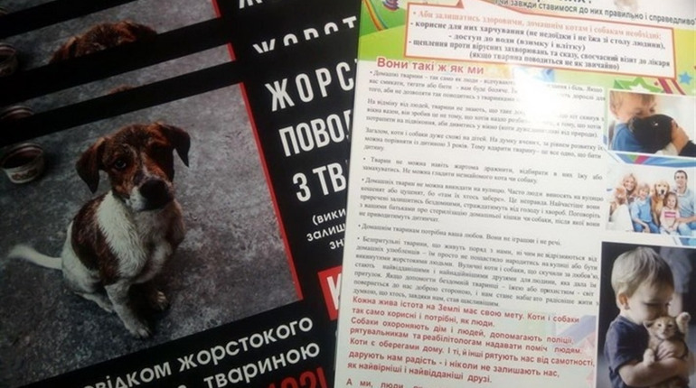 У Вараші дитина нацькувала бездомного пса на кошеня і спостерігала за вбивством. Є свідки