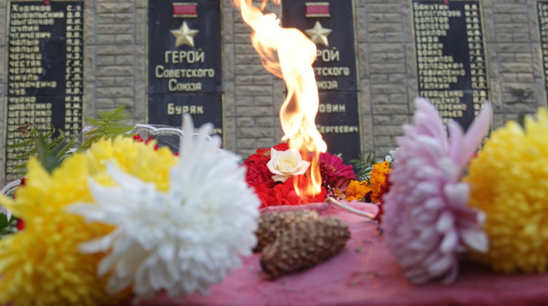 В Добропіллі відзначили день звільнення Донбасу від фашистських загарбників