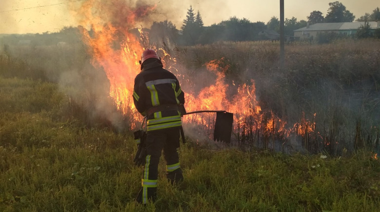 У Розсипному через пожежу мало не загорівся цвинтар