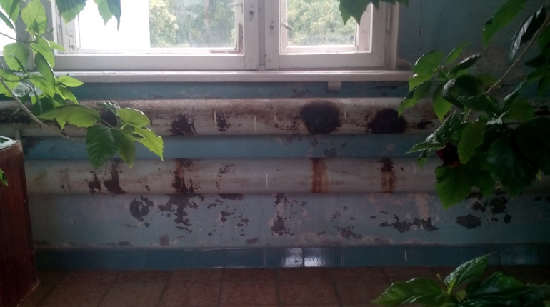 Облуплені стіни та подертий лінолеум: як вирішуватимуть питання з ремонтом інфекційного відділення