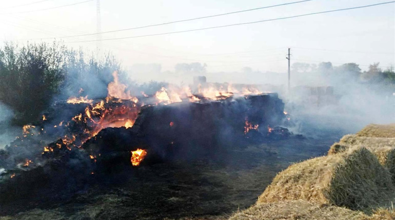 У селі Переселення пожежу ліквідовували майже добу