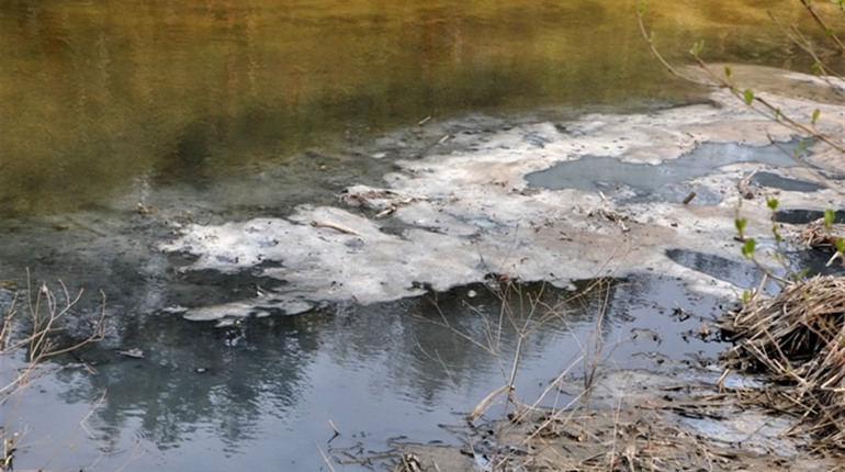 Вода з Хомори найбільше забруднена хімічими сполуками