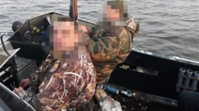 Під Переяславом браконьєри застрелили лебедя