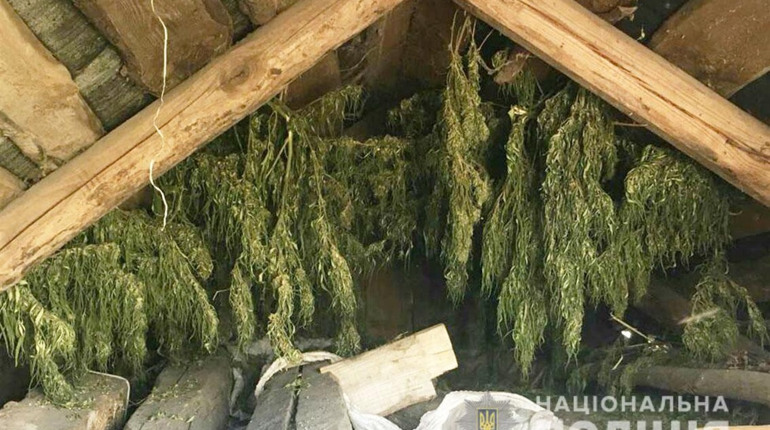 На Менщині поліція знайшла наркотики на півмільйона гривень