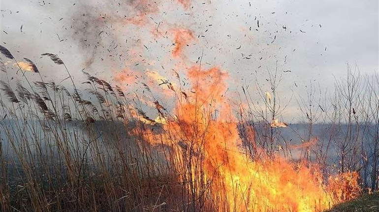 На Білопільщині продовжує горіти суха трава