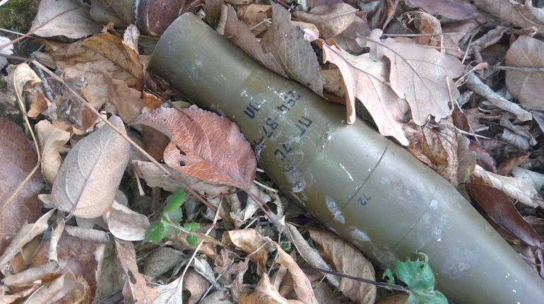 Неподалік від Сватового знайшли гранату та снаряд: Про знахідки у поліцію повідомили грибники