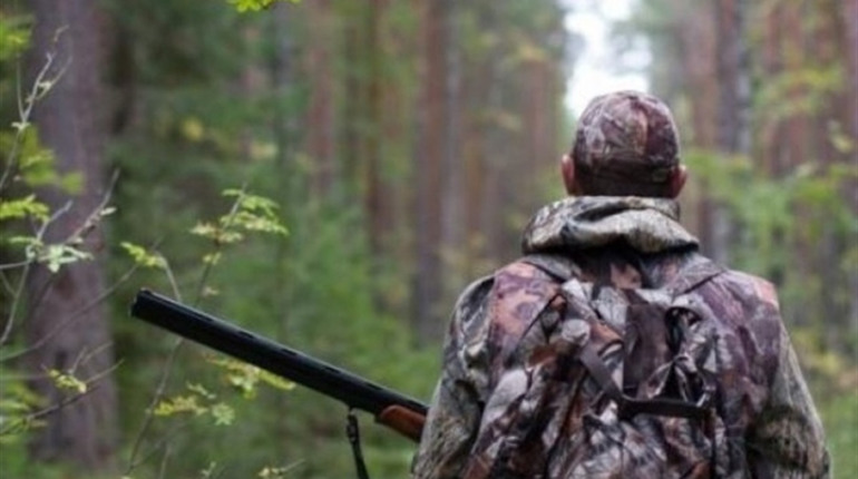 Сезон полювання відкрито: коли можна полювати на Гадяччині