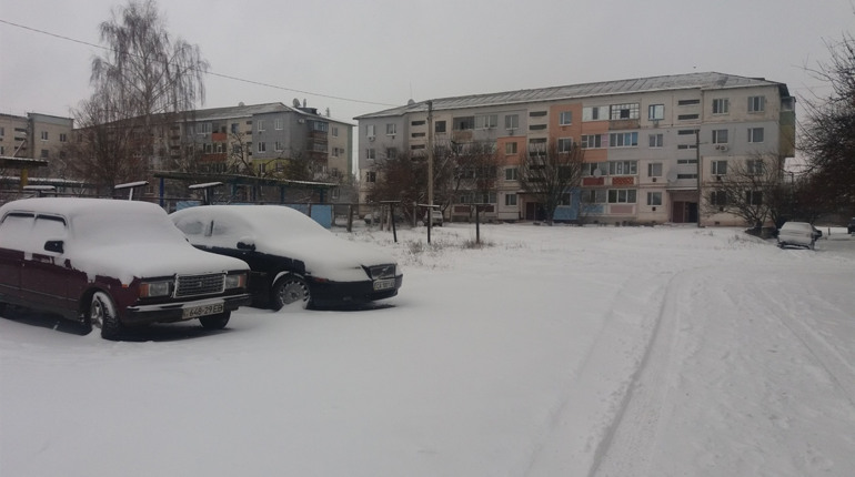 Випав перший сніг в Троїцькому