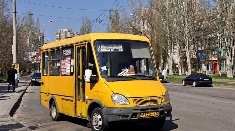 Дельфіни на херсонських дорогах, або автобуси за 2 тисячі доларів