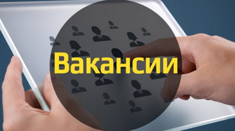 Актуальні вакансії у Фастові: для тих, хто шукає роботу