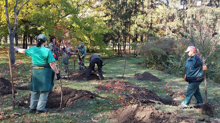 Тепер не одне підприємство. "Благоустрій" відділяється від ВУКГ