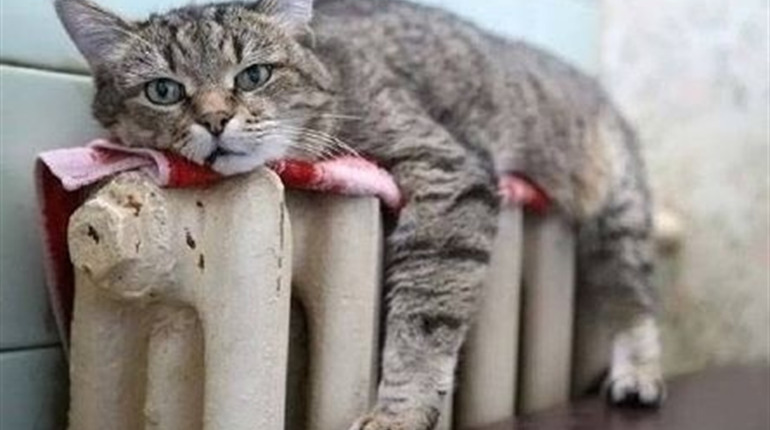 Метеостанція Нижні Сірогози: прогноз погоди з 14 по 18 січня