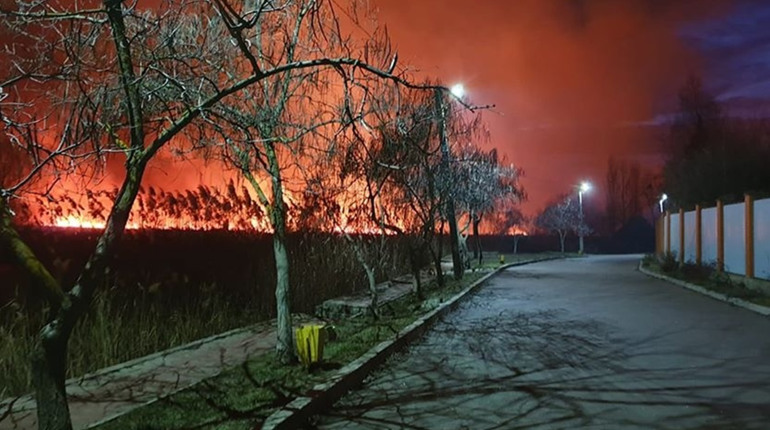 У плавнях поруч із Зеленим хутором та мікрорайоном станції Дністер велика пожежа. Відео