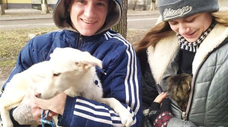 У Лозівчанки, яку підозрюють у вбивстві кота, забрали інших хатніх тварин 