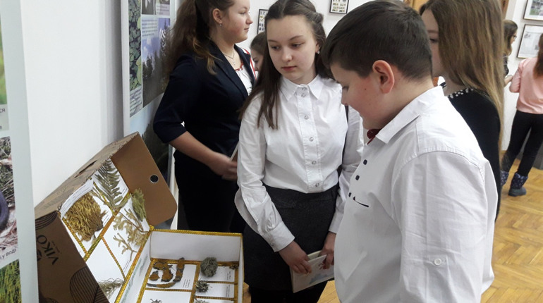 5 незвичних колекцій, представлених на виставці «Природа навколо нас»