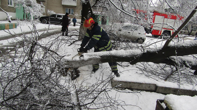 Рятувальники Добропілля допомогли водієві "визволити" автомобіль, на який впало дерево