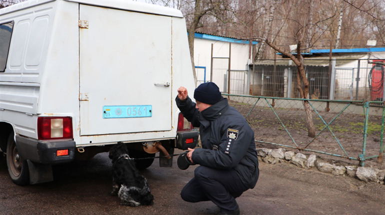 Поліцейські кінологи спростували популярний міф про наркозалежних собак 