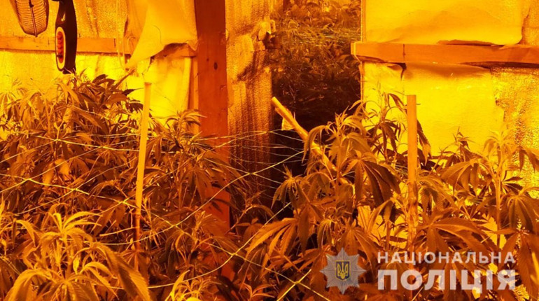 Группа жителей района организовала наркобизнес с миллионными сделками