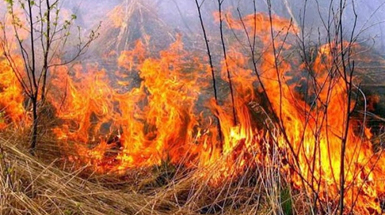 На Полтавщині протягом доби на відкритих територіях згоріло 8 га сухої рослинності