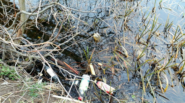 Журналісти ШосткаNews.City прибрали берег Галенківського озера