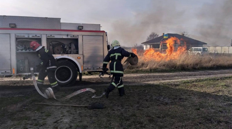Вогонь загрожував житловим будинкам: рятувальники гасили чагарники на Сарненщині