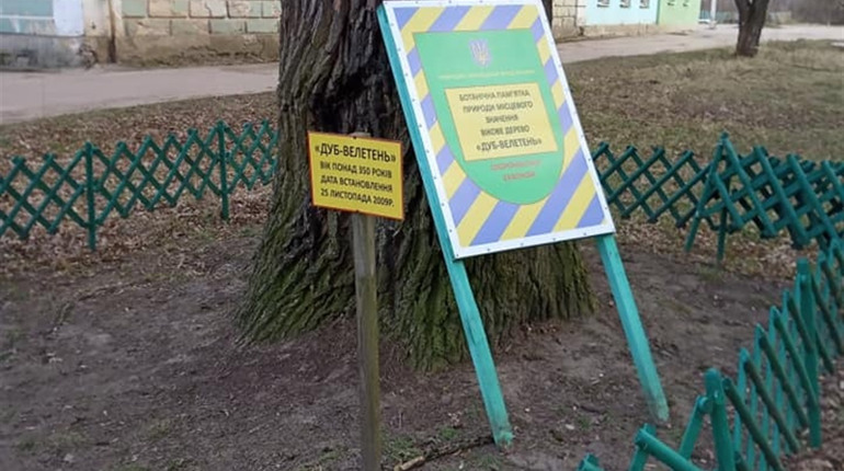 У Шостці хазяйнують вандали 