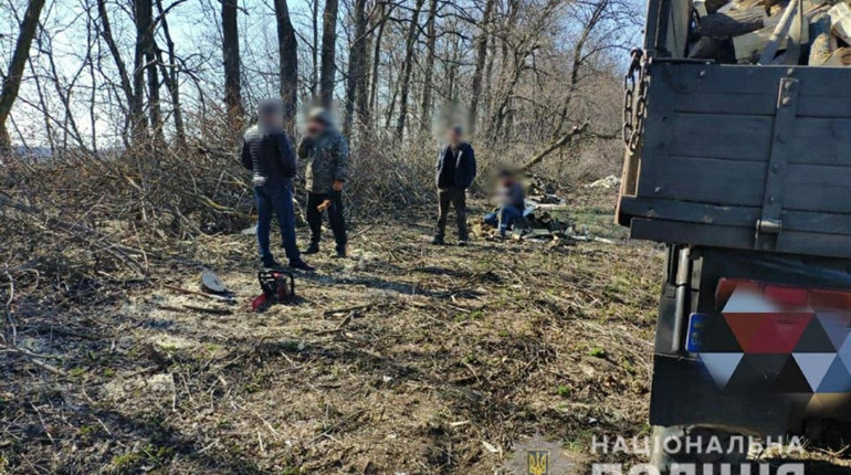 На Полтавщині затримали п'ятьох осіб, які незаконно спилювали дерева