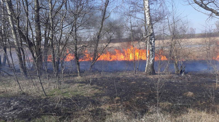 Сезонна проблема: жителі Чортківщини продовжують палити суху траву (фотофакт)