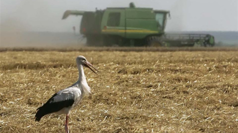 Мораторій на продаж землі знято. Хто отримує право на купівлю землі і кому це робити заборонено?