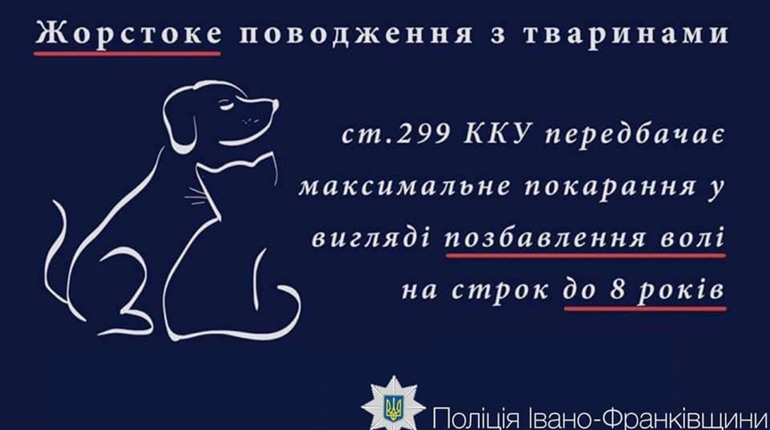 У Калуському районі застрелили трьох собак. Поліція відкрила кримінальне провадження