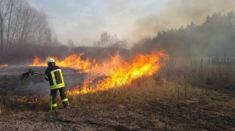 Пекельний тиждень: палії продовжують тероризувати Гадяч та район
