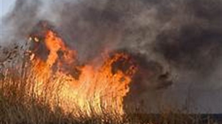 На минулому тижні на Ніжинщині виникло 15 пожеж