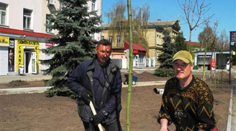 Кущі троянд, сакури, клени біля швейної фабрики посадять до Пасхи 