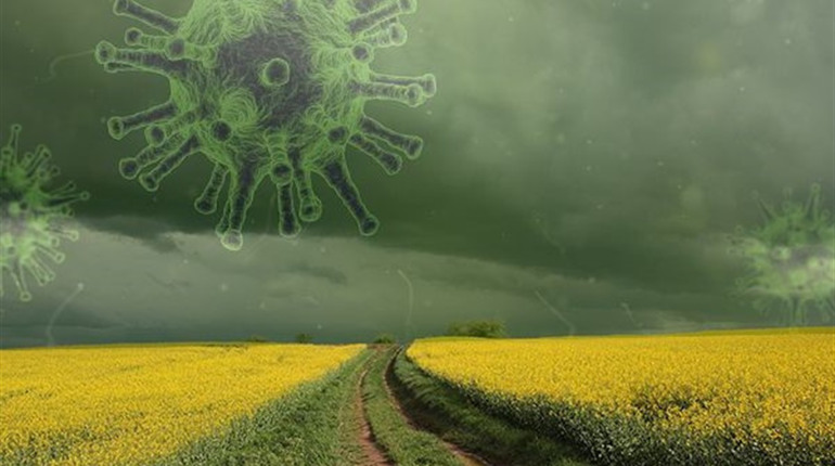 Весна 2020. З короною йшла вона - ніжинська поетеса про COVID-19