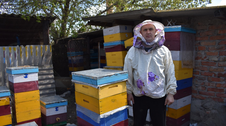 Бджола — не корова, її просто так не закриєш. Або чому на Сірогозщині продовжують гинути бджоли