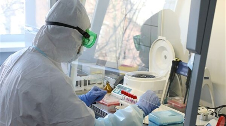 COVID-19 на Тернопільщині: + 36 за добу і майже п'ять сотень хворих