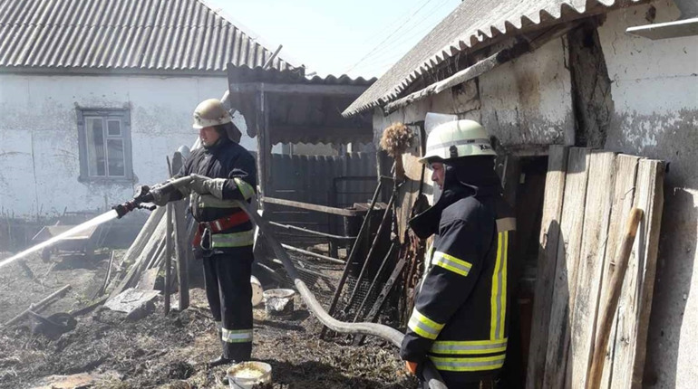 На Переяславщині п'ять днів поспіль не було пожеж сухостоїв