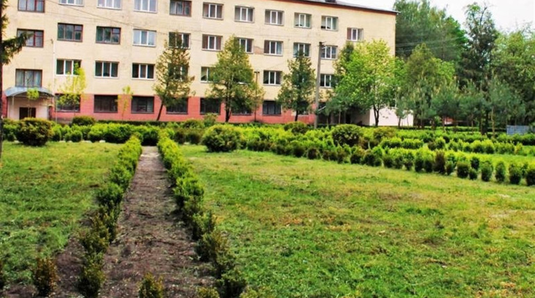 Сфотографуй свій газон та отримай відзнаку 