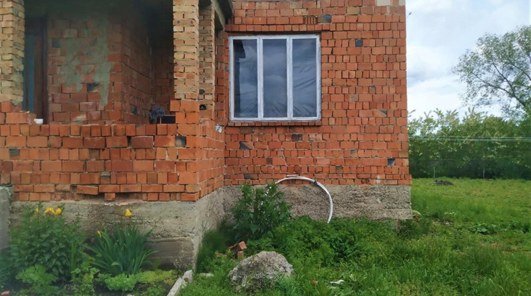 Понад 120 рослин коноплі знайшли поліцейські в господарстві у Шипинцях