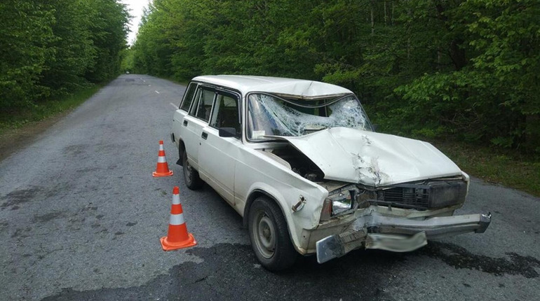 У Новоград-Волинському районі сталася ДТП: загинула людина